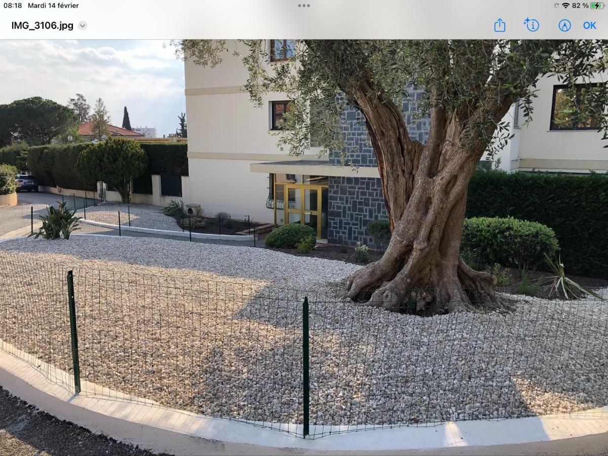Beautiful T3 Terrasse Niza Exterior foto